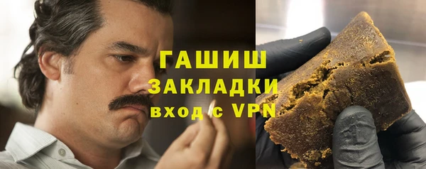 дмт Бородино
